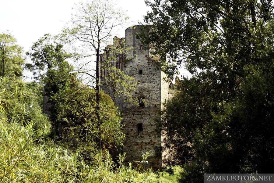 Północno-zachodnia wieża zamku w Drzewicy