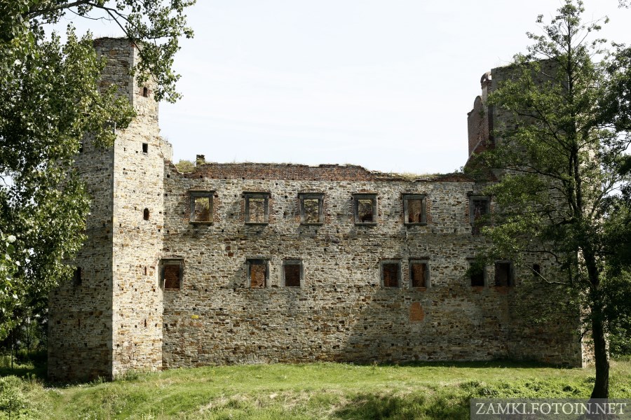 Zamek nad rzeką Drzewiczką