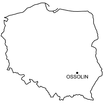 Mapa Zamek w Ossolinie
